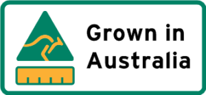 mister rye grown in australia